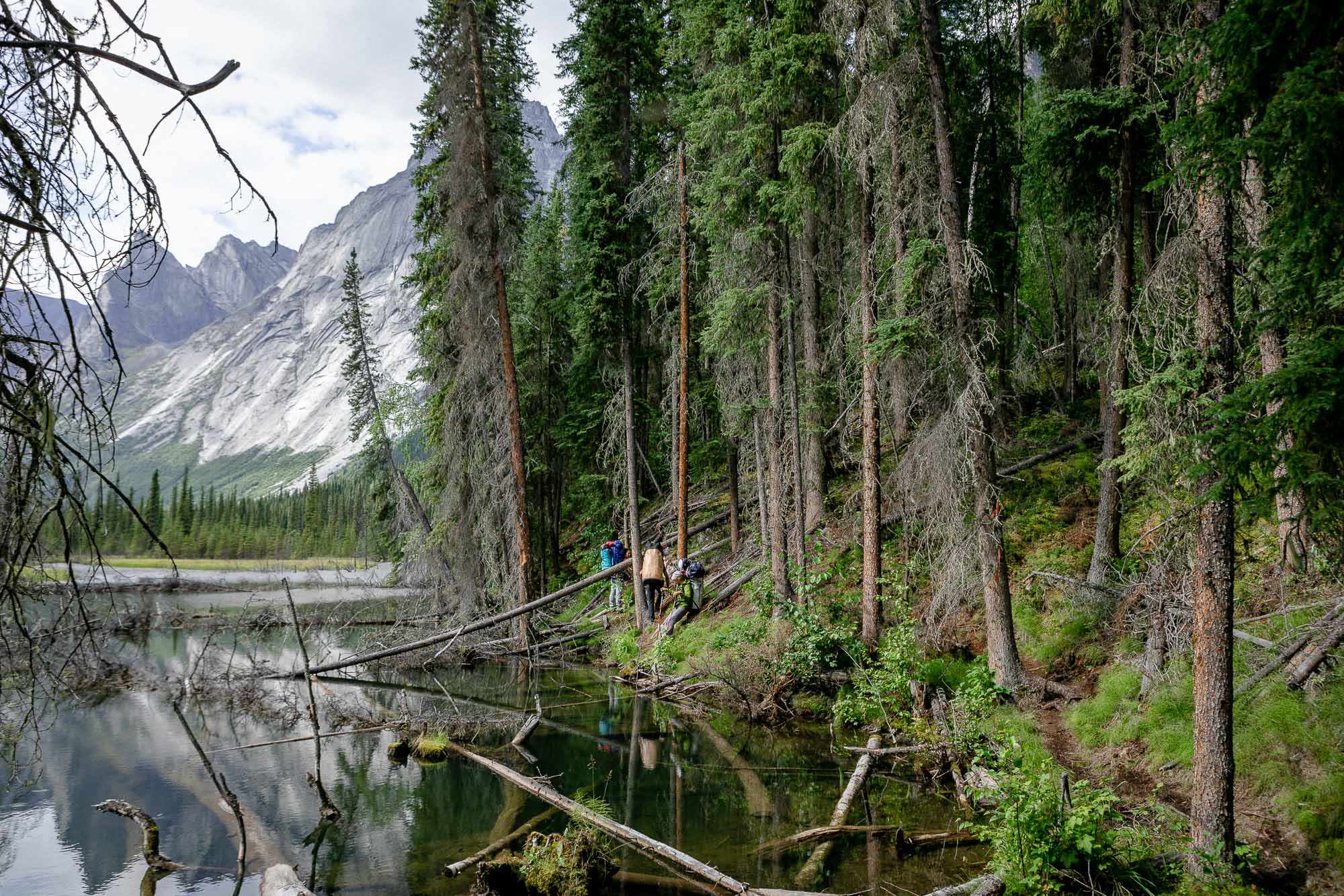 approach trail to Fairy meadow base camp