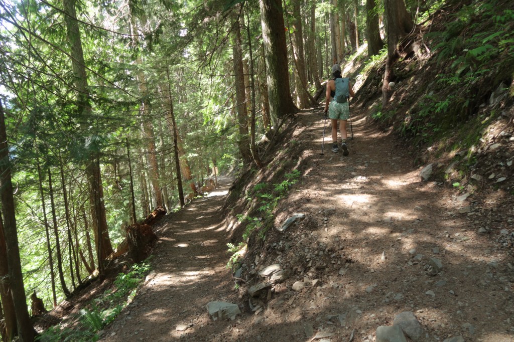 Rubble Creek switchbacks hiking trail clear of snow in the lower forest section under 1410m elevation in May