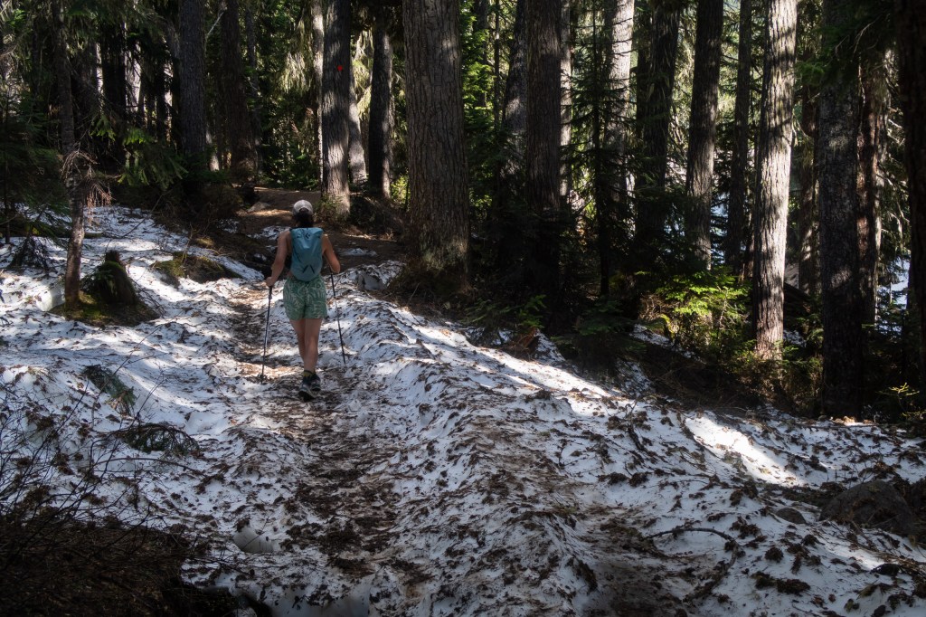 Rubble Creek trail conditions to Garibaldi Lake in May showing packed snow