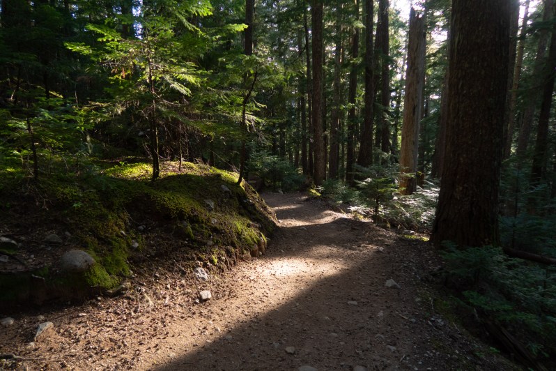 Rubble Creek trail conditions to Garibaldi Lake in May showing no snow until 1400m
