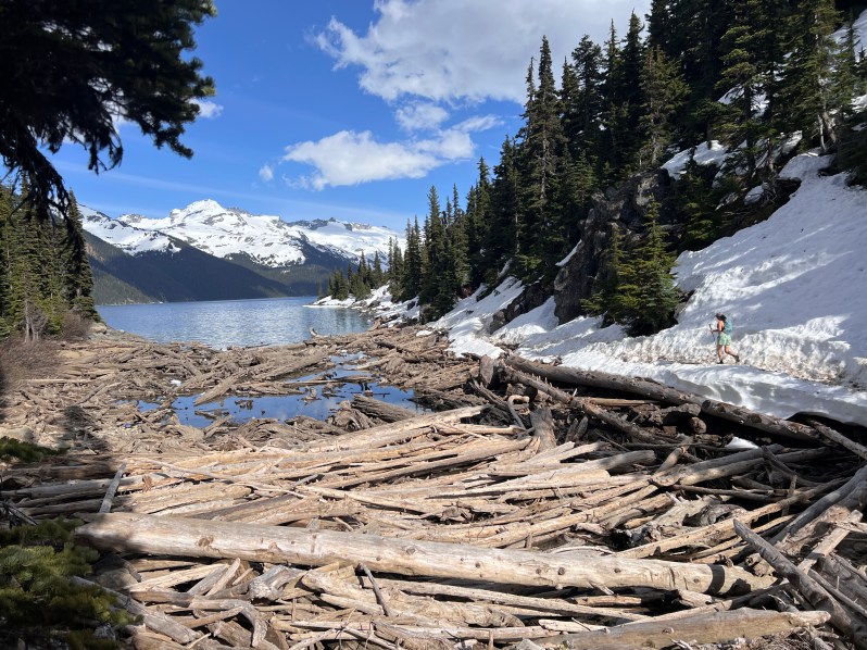 Rubble Creek trail conditions to Garibaldi Lake in May showing packed snow; no need for micro spikes